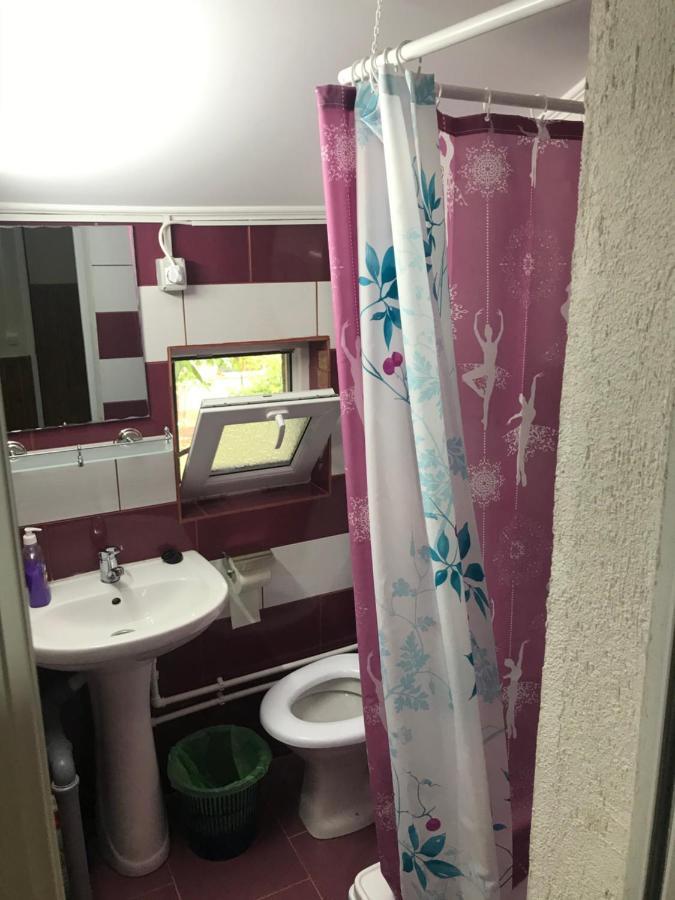 מלון טולצ'אה Casa Radu מראה חיצוני תמונה
