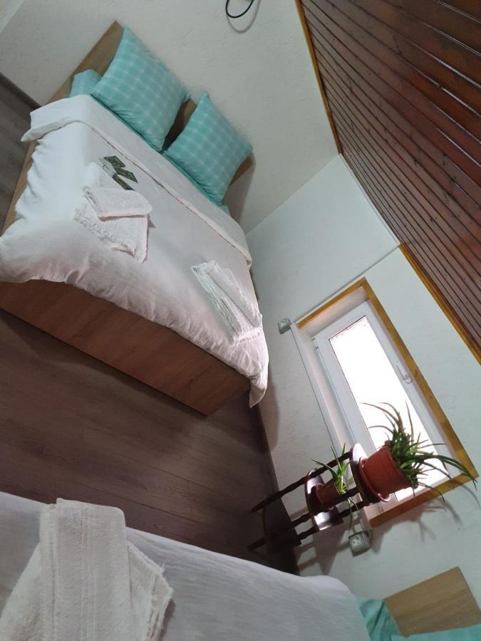 מלון טולצ'אה Casa Radu מראה חיצוני תמונה