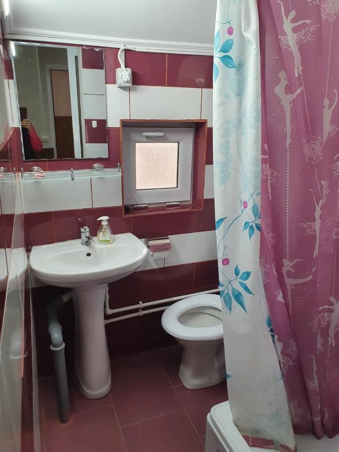מלון טולצ'אה Casa Radu מראה חיצוני תמונה