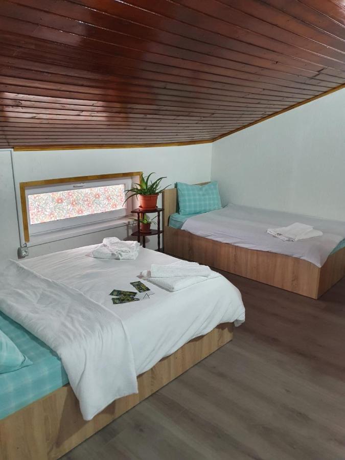מלון טולצ'אה Casa Radu מראה חיצוני תמונה